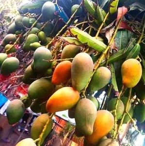 Meet your Posher, Esnardo